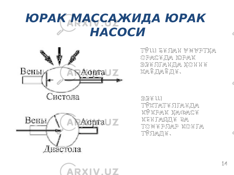 ЮРАК МАССАЖИДА ЮРАК НАСОСИ ТЎШ БИЛАН УМУРТҚА ОРАСИДА ЮРАК ЭЗИЛГАНДА ҚОННИ ХАЙДАЙДИ. ЭЗИШ ТЎХТАТИЛГАНДА КЎКРАК ҚАФАСИ КЕНГАЯДИ ВА ТОМИРЛАР КОНГА ТЎЛАДИ. 14 