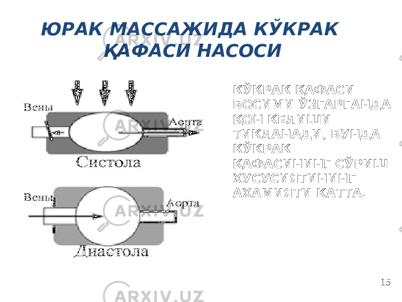 ЮРАК МАССАЖИДА КЎКРАК ҚАФАСИ НАСОСИ КЎКРАК ҚАФАСИ БОСИМИ ЎЗГАРГАНДА ҚОН КЕЛИШИ ТИКЛАНАДИ, БУНДА КЎКРАК ҚАФАСИНИНГ СЎРИШ ХУСУСИЯТИНИНГ АХАМИЯТИ КАТТА. 15 