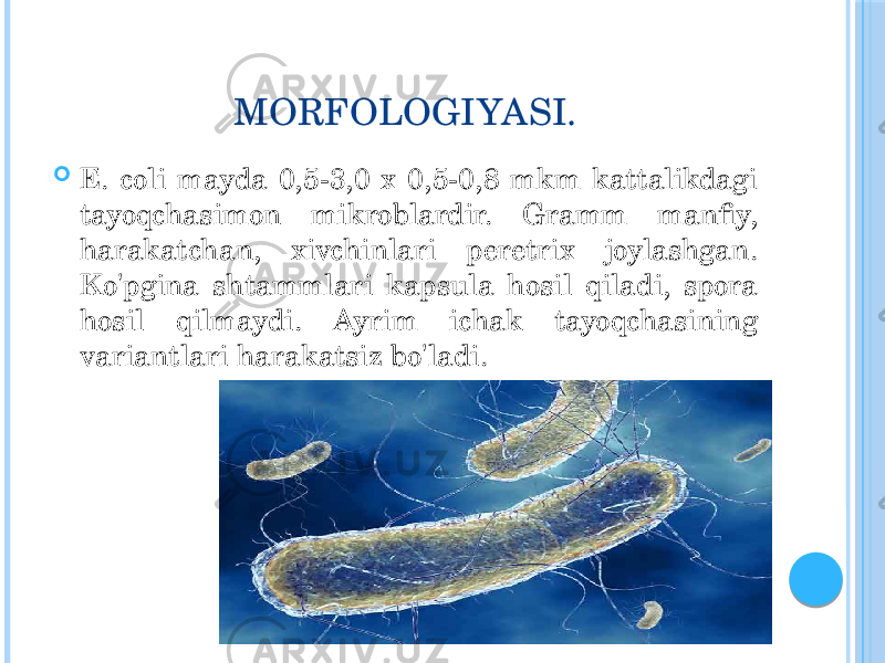 MORFOLOGIYASI.  E. coli mayda 0,5-3,0 x 0,5-0,8 mkm kattalikdagi tayoqchasimon mikroblardir. Gramm manfiy, harakatchan, xivchinlari peretrix joylashgan. Ko&#39;pgina shtammlari kapsula hosil qiladi, spora hosil qilmaydi. Ayrim ichak tayoqchasining variantlari harakatsiz bo&#39;ladi. 