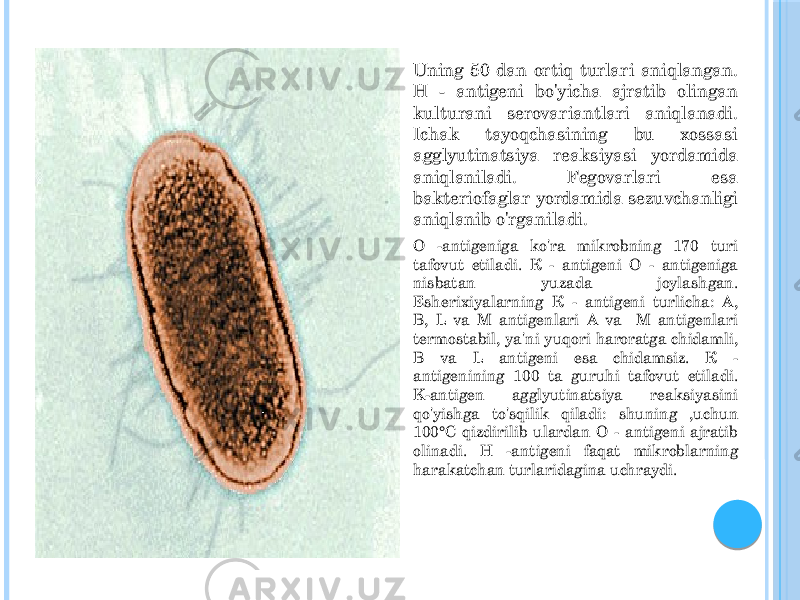  Uning 50 dan ortiq turlari aniqlangan. H - antigeni bo&#39;yicha ajratib olingan kulturani serovariantlari aniqlanadi. Ichak tayoqchasining bu xossasi agglyutinatsiya reaksiyasi yordamida aniqlaniladi. Fegovarlari esa bakteriofaglar yordamida sezuvchanligi aniqlanib o&#39;rganiladi.  О -antigeniga ko&#39;ra mikrobning 170 turi tafovut etiladi. К - antigeni О - antigeniga nisbatan yuzada joylashgan. Esherixiyalarning К - antigeni turlicha: A, B, L va M antigenlari A va M antigenlari termostabil, ya&#39;ni yuqori haroratga chidamli, В va L antigeni esa chidamsiz. К - antigenining 100 ta guruhi tafovut etiladi. K-antigen agglyutinatsiya reaksiyasini qo&#39;yishga to&#39;sqilik qiladi: shuning ,uchun 100°C qizdirilib ulardan О - antigeni ajratib olinadi. H -antigeni faqat mikroblarning harakatchan turlaridagina uchraydi. 