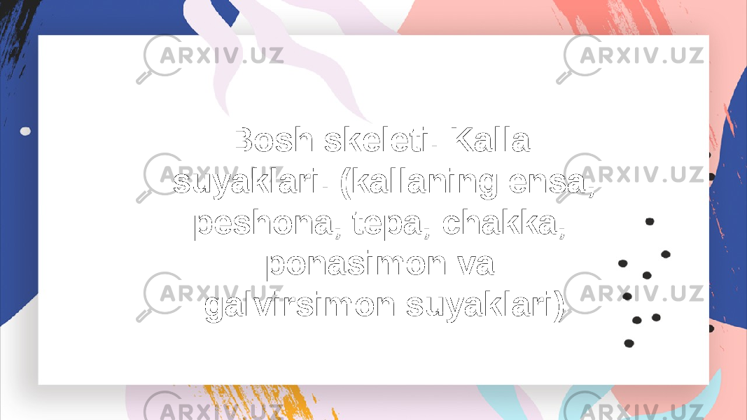 Bosh skeleti. Kalla suyaklari. (kallaning ensa, peshona, tepa, chakka, ponasimon va galvirsimon suyaklari) 