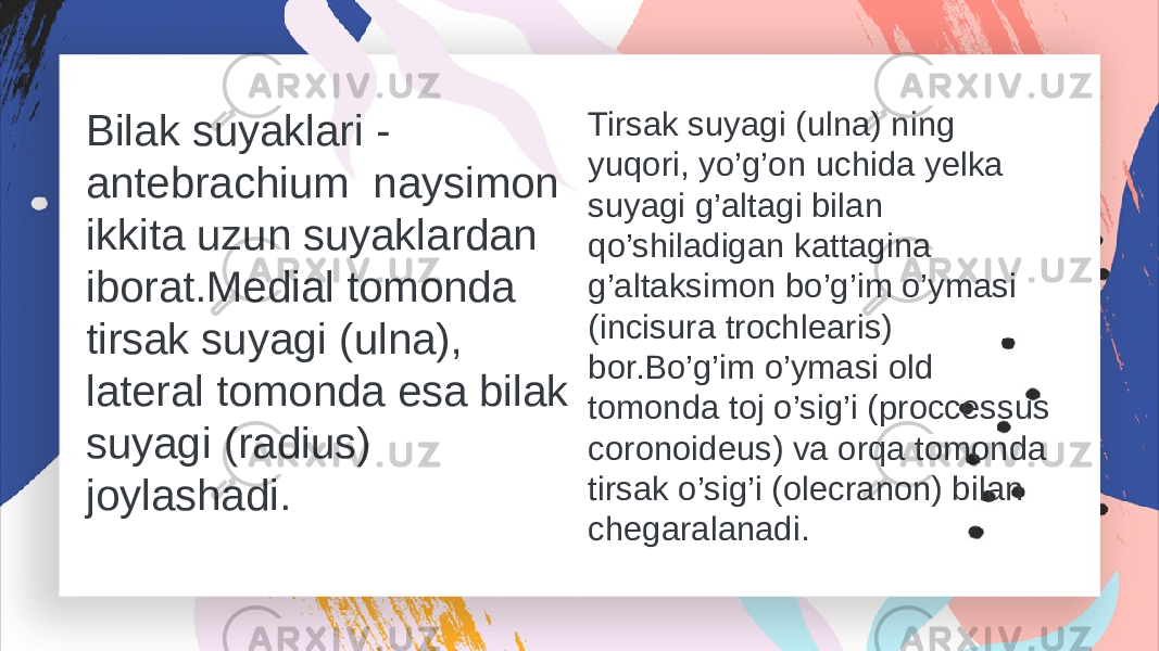 Bilak suyaklari - antebrachium naysimon ikkita uzun suyaklardan iborat.Medial tomonda tirsak suyagi (ulna), lateral tomonda esa bilak suyagi (radius) joylashadi. Tirsak suyagi (ulna) ning yuqori, yo’g’on uchida yelka suyagi g’altagi bilan qo’shiladigan kattagina g’altaksimon bo’g’im o’ymasi (incisura trochlearis) bor.Bo’g’im o’ymasi old tomonda toj o’sig’i (proccessus coronoideus) va orqa tomonda tirsak o’sig’i (olecranon) bilan chegaralanadi. 