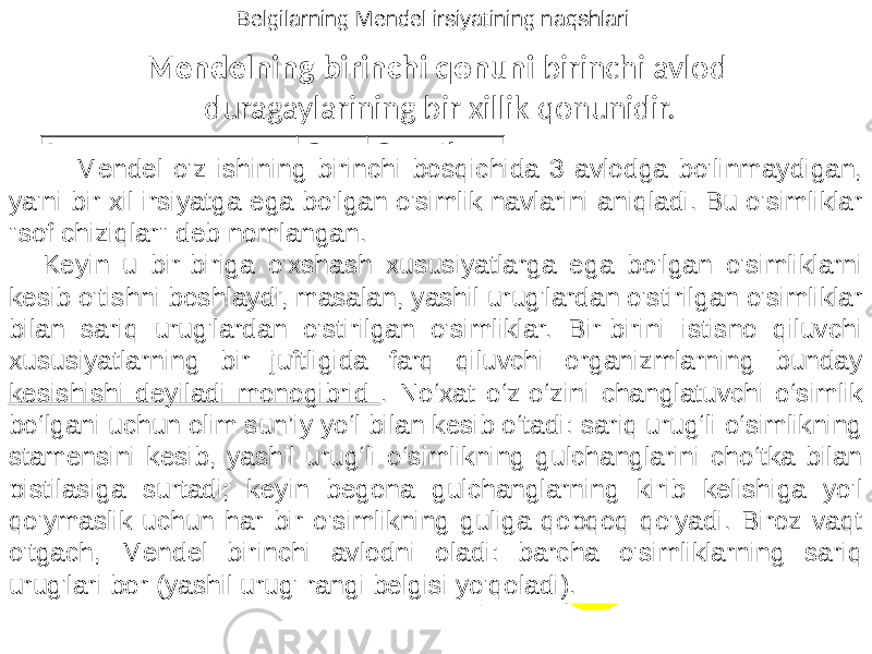 Mendelning birinchi qonuni birinchi avlod duragaylarining bir xillik qonunidir. Imzo Gen Genotip Sariq no&#39;xat A AA, AA Yashil no&#39;xat A ahh F 1 - ? 100% bir xillik Belgilarning Mendel irsiyatining naqshlari Mendel o&#39;z ishining birinchi bosqichida 3 avlodga bo&#39;linmaydigan, ya&#39;ni bir xil irsiyatga ega bo&#39;lgan o&#39;simlik navlarini aniqladi. Bu o&#39;simliklar &#34;sof chiziqlar&#34; deb nomlangan. Keyin u bir-biriga o&#39;xshash xususiyatlarga ega bo&#39;lgan o&#39;simliklarni kesib o&#39;tishni boshlaydi, masalan, yashil urug&#39;lardan o&#39;stirilgan o&#39;simliklar bilan sariq urug&#39;lardan o&#39;stirilgan o&#39;simliklar. Bir-birini istisno qiluvchi xususiyatlarning bir juftligida farq qiluvchi organizmlarning bunday kesishishi deyiladi monogibrid . No‘xat o‘z-o‘zini changlatuvchi o‘simlik bo‘lgani uchun olim sun’iy yo‘l bilan kesib o‘tadi: sariq urug‘li o‘simlikning stamensini kesib, yashil urug‘li o‘simlikning gulchanglarini cho‘tka bilan pistilasiga surtadi; keyin begona gulchanglarning kirib kelishiga yo&#39;l qo&#39;ymaslik uchun har bir o&#39;simlikning guliga qopqoq qo&#39;yadi. Biroz vaqt o&#39;tgach, Mendel birinchi avlodni oladi: barcha o&#39;simliklarning sariq urug&#39;lari bor (yashil urug&#39; rangi belgisi yo&#39;qoladi). 