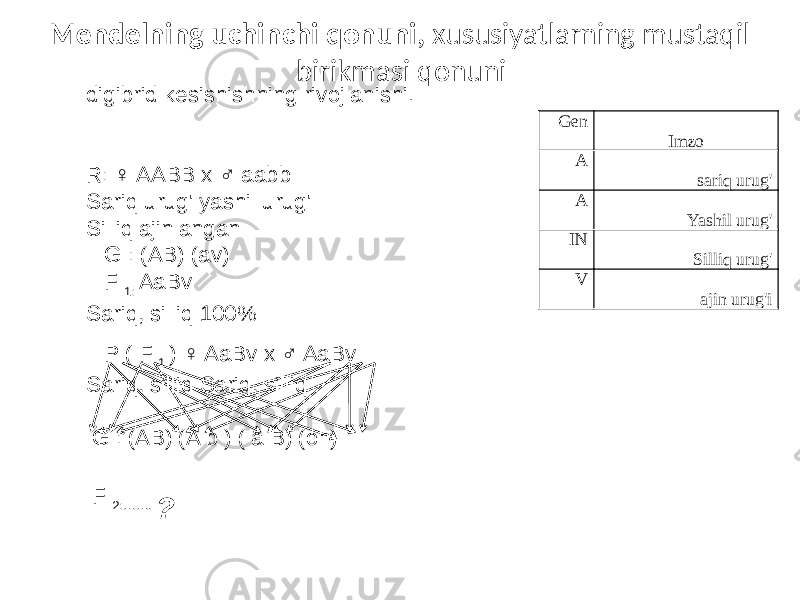 Mendelning uchinchi qonuni, xususiyatlarning mustaqil birikmasi qonuni Gen Imzo A sariq urug&#39; A Yashil urug&#39; IN Silliq urug&#39; V ajin urug&#39;idigibrid kesishishning rivojlanishi. R: ♀ AABB x ♂ aabb Sariq urug&#39; yashil urug&#39; Silliq ajinlangan G : (AB) (av) F 1: AaBv Sariq, silliq 100% P ( F 1 ) ♀ AaBv x ♂ AaBv Sariq, silliq Sariq, silliq G : (AB) (A b ) ( a B) (oh) F 2:……. ? 