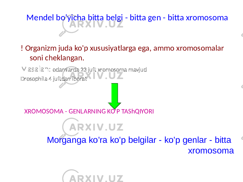 Mendel bo&#39;yicha bitta belgi - bitta gen - bitta xromosoma ! Organizm juda ko&#39;p xususiyatlarga ega, ammo xromosomalar soni cheklangan. Masalan: odamlarda 23 juft xromosoma mavjud Drosophila 4 juftdan iborat XROMOSOMA - GENLARNING KO&#39;P TAShQIYORI Morganga ko&#39;ra ko&#39;p belgilar - ko&#39;p genlar - bitta xromosoma 