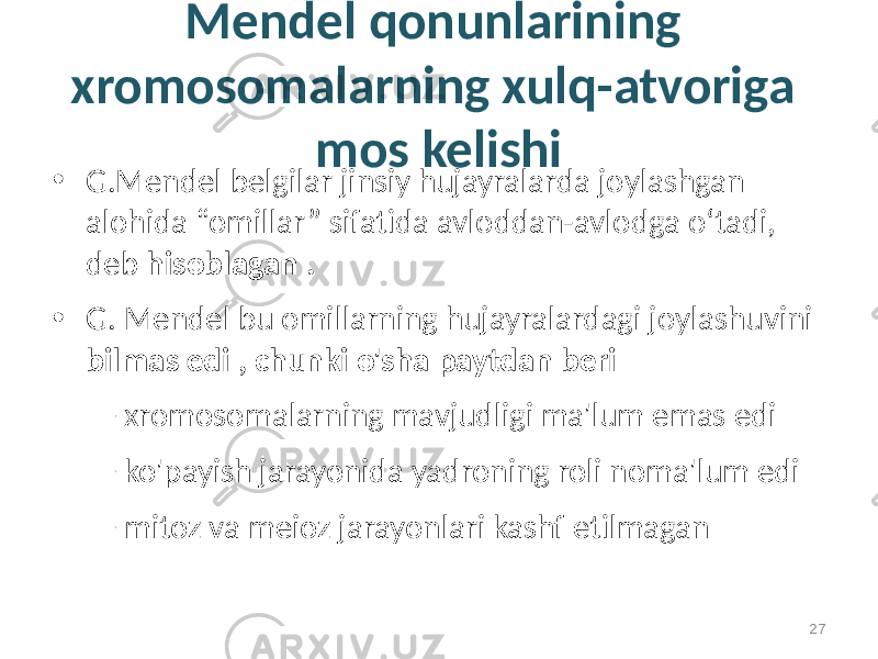 Mendel qonunlarining xromosomalarning xulq-atvoriga mos kelishi • G.Mendel belgilar jinsiy hujayralarda joylashgan alohida “omillar” sifatida avloddan-avlodga o‘tadi, deb hisoblagan . • G. Mendel bu omillarning hujayralardagi joylashuvini bilmas edi , chunki o&#39;sha paytdan beri – xromosomalarning mavjudligi ma&#39;lum emas edi – ko&#39;payish jarayonida yadroning roli noma&#39;lum edi – mitoz va meioz jarayonlari kashf etilmagan 27 