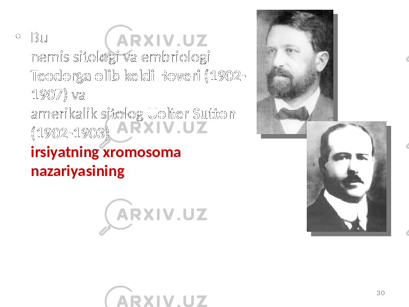 • Bu nemis sitologi va embriologi Teodorga olib keldi Boveri (1902- 1907) va amerikalik sitolog Uolter Sutton (1902-1903) irsiyatning xromosoma nazariyasining 30 