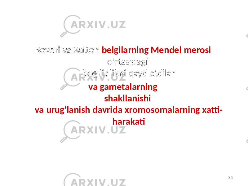 Boveri va Satton belgilarning Mendel merosi o&#39;rtasidagi bog&#39;liqlikni qayd etdilar va gametalarning shakllanishi va urug&#39;lanish davrida xromosomalarning xatti- harakati 31 