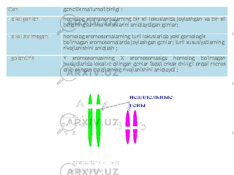 Gen - genetik ma&#39;lumot birligi : - allel genlar - homolog xromosomalarning bir xil lokuslarida joylashgan va bir xil belgining turli ko&#39;rinishlarini aniqlaydigan genlar; - allel bo&#39;lmagan - homolog xromosomalarning turli lokuslarida yoki gomologik bo&#39;lmagan xromosomalarda joylashgan genlar; turli xususiyatlarning rivojlanishini aniqlash ; - golandrik - Y xromosomasining X xromosomasiga homolog bo&#39;lmagan hududlarida lokalize qilingan genlar faqat erkak chizig&#39;i orqali meros qilib olingan belgilarning rivojlanishini aniqlaydi ; 