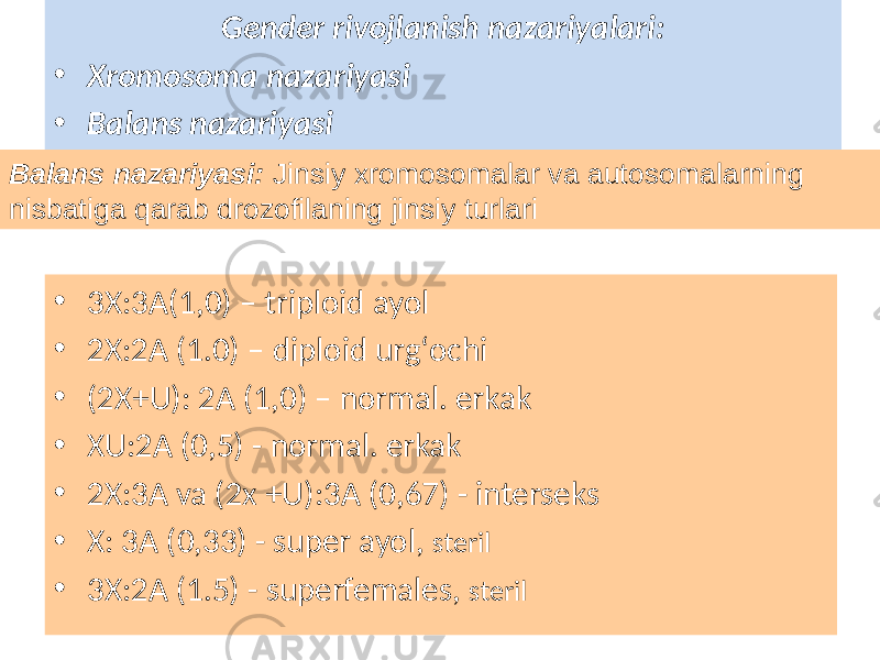  Gender rivojlanish nazariyalari: • Xromosoma nazariyasi • Balans nazariyasi • 3X:3A(1,0) – triploid ayol • 2X:2A (1.0) – diploid urgʻochi • (2X+U): 2A (1,0) – normal. erkak • XU:2A (0,5) - normal. erkak • 2X:3A va (2x +U):3A (0,67) - interseks • X: 3A (0,33) - super ayol, steril • 3X:2A (1.5) - superfemales, sterilBalans nazariyasi: Jinsiy xromosomalar va autosomalarning nisbatiga qarab drozofilaning jinsiy turlari 