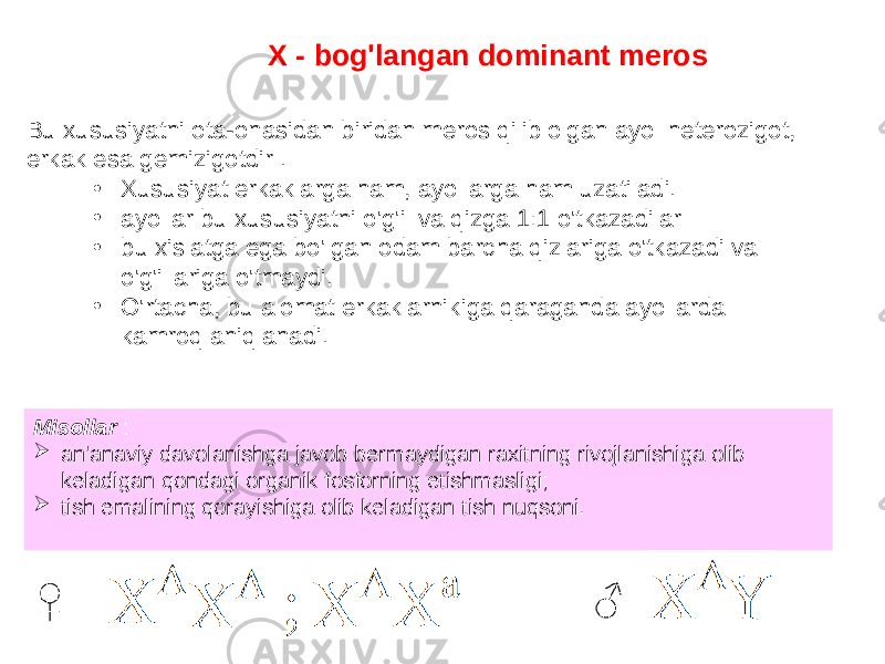 X - bog&#39;langan dominant meros Bu xususiyatni ota-onasidan biridan meros qilib olgan ayol heterozigot, erkak esa gemizigotdir . • Xususiyat erkaklarga ham, ayollarga ham uzatiladi. • ayollar bu xususiyatni o&#39;g&#39;il va qizga 1:1 o&#39;tkazadilar • bu xislatga ega bo&#39;lgan odam barcha qizlariga o&#39;tkazadi va o&#39;g&#39;illariga o&#39;tmaydi. • O&#39;rtacha, bu alomat erkaklarnikiga qaraganda ayollarda kamroq aniqlanadi. Misollar :  an&#39;anaviy davolanishga javob bermaydigan raxitning rivojlanishiga olib keladigan qondagi organik fosforning etishmasligi;  tish emalining qorayishiga olib keladigan tish nuqsoni. 