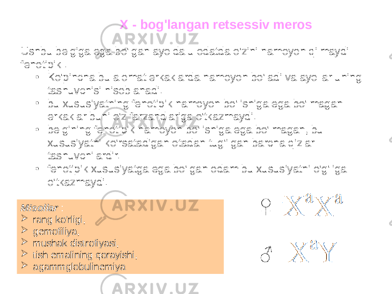 X - bog&#39;langan retsessiv meros Ushbu belgiga ega bo&#39;lgan ayolda u odatda o&#39;zini namoyon qilmaydi fenotipik . • Ko&#39;pincha bu alomat erkaklarda namoyon bo&#39;ladi va ayollar uning tashuvchisi hisoblanadi. • bu xususiyatning fenotipik namoyon bo&#39;lishiga ega bo&#39;lmagan erkaklar buni o&#39;z farzandlariga o&#39;tkazmaydi. • belgining fenotipik namoyon bo&#39;lishiga ega bo&#39;lmagan, bu xususiyatni ko&#39;rsatadigan otadan tug&#39;ilgan barcha qizlar tashuvchilardir. • fenotipik xususiyatga ega bo&#39;lgan odam bu xususiyatni o&#39;g&#39;liga o&#39;tkazmaydi. Misollar :  rang ko&#39;rligi,  gemofiliya,  mushak distrofiyasi,  tish emalining qorayishi,  agammglobulinemiya 