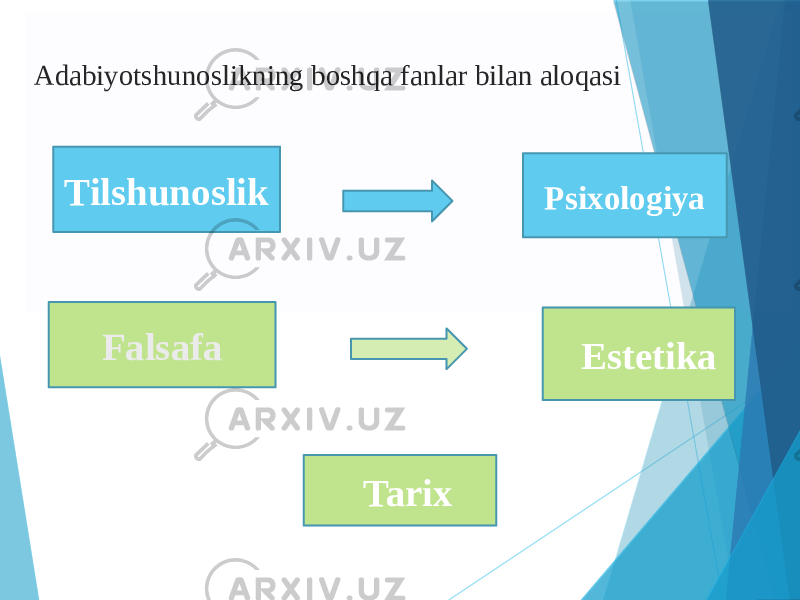  Adabiyotshunoslikning boshqa fanlar bilan aloqasi Tilshunoslik Psixologiya Falsafa Estetika Tarix 