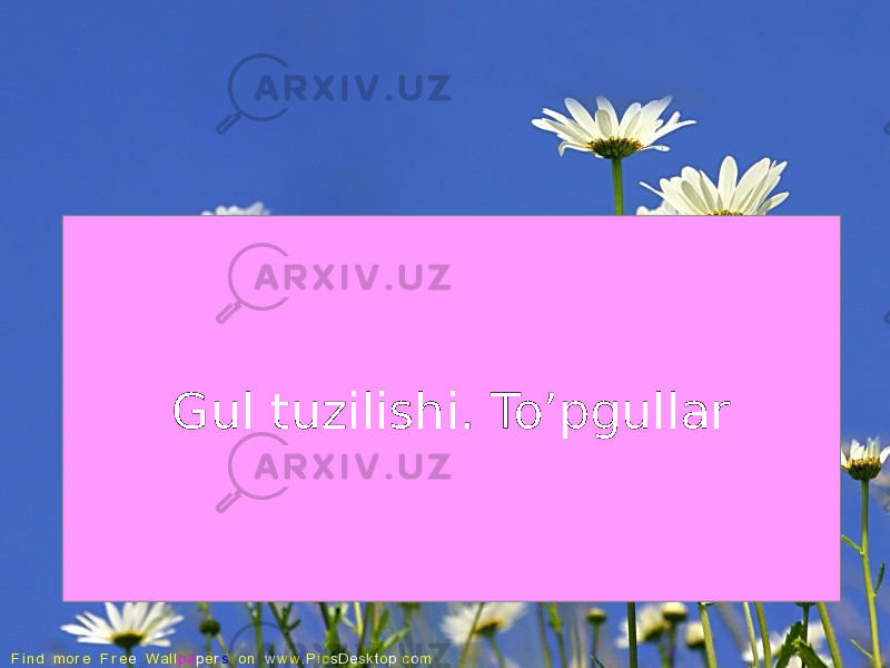 Gul tuzilishi. To’pgullar 