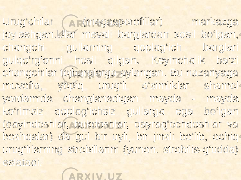  Urug‘chilar (megasporofillar) markazga joylashgan.Ular mevali barglardan xosil bo‘lgan, changchi gullarning qoplag‘ich barglari gulqo‘rg‘onni hosil qilgan. Keyinchalik ba’zi changchilar tojbarglarga aylangan. Bu nazariyaga muvofiq, yopiq urug‘li o‘simliklar shamol yordamida changlanadigan mayda - mayda ko‘rimsiz qoplag‘ichsiz gullarga ega bo‘lgan (qayindoshlar, bukdoshlar, qayrag‘ochdoshlar va boshqalar) da gul bir uyli, bir jinsli bo‘lib, ochiq urug‘lilarning strobillarini (yunon. strobilis-g‘udda) eslatadi. 