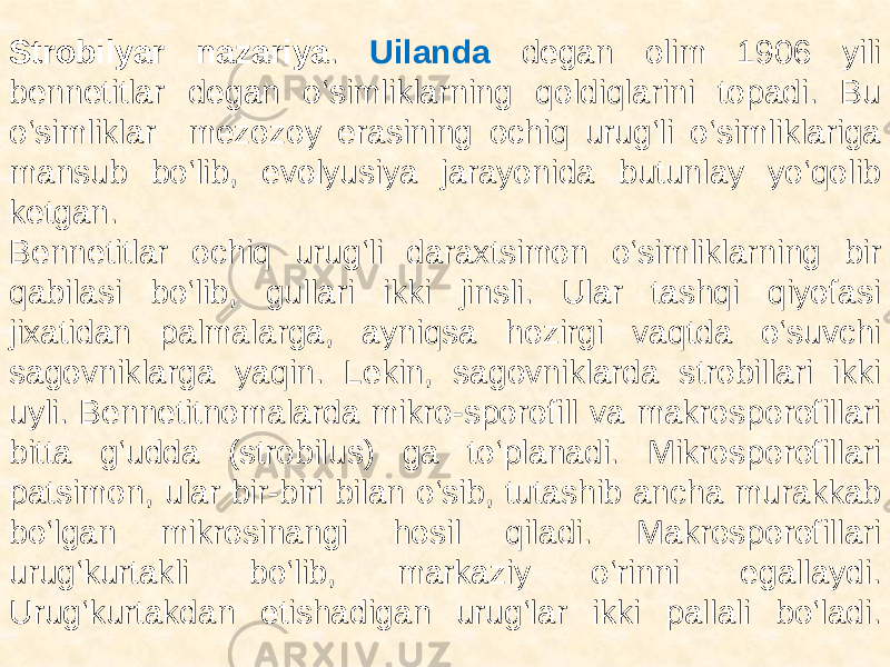 Strobilyar nazariya . Uilanda degan olim 1906 yili bennetitlar degan o‘simliklarning qoldiqlarini topadi. Bu o‘simliklar mezozoy erasining ochiq urug‘li o‘simliklariga mansub bo‘lib, evolyusiya jarayonida butunlay yo‘qolib ketgan. Bennetitlar ochiq urug‘li daraxtsimon o‘simliklarning bir qabilasi bo‘lib, gullari ikki jinsli. Ular tashqi qiyofasi jixatidan palmalarga, ayniqsa hozirgi vaqtda o‘suvchi sagovniklarga yaqin. Lekin, sagovniklarda strobillari ikki uyli. Bennetitnomalarda mikro-sporofill va makrosporofillari bitta g‘udda (strobilus) ga to‘planadi. Mikrosporofillari patsimon, ular bir-biri bilan o‘sib, tutashib ancha murakkab bo‘lgan mikrosinangi hosil qiladi. Makrosporofillari urug‘kurtakli bo‘lib, markaziy o‘rinni egallaydi. Urug‘kurtakdan etishadigan urug‘lar ikki pallali bo‘ladi. 