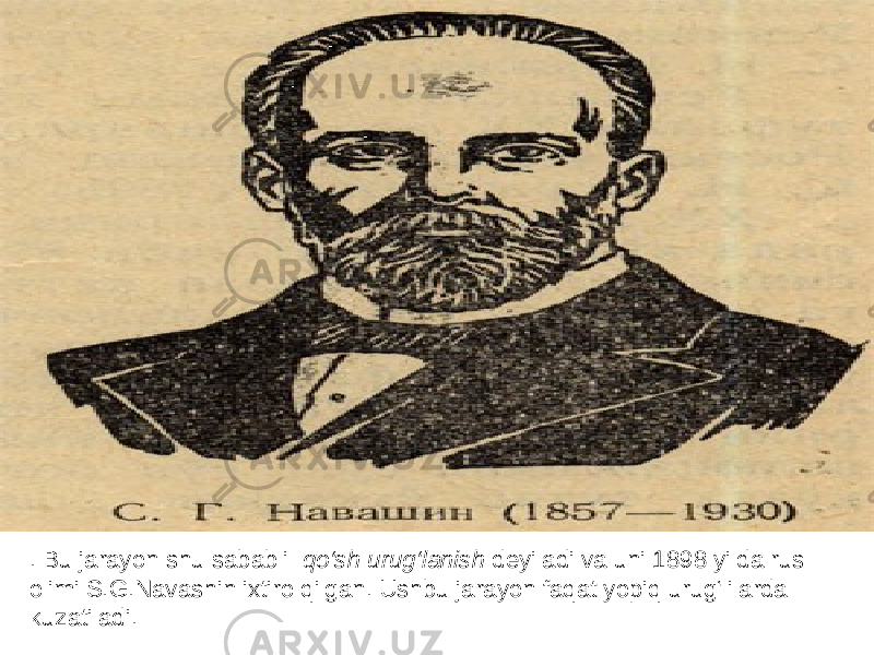 . Bu jarayon shu sababli qo‘sh urug‘lanish deyiladi va uni 1898 yilda rus olimi S.G.Navashin ixtiro qilgan. Ushbu jarayon faqat yopiq urug‘lilarda kuzatiladi. 