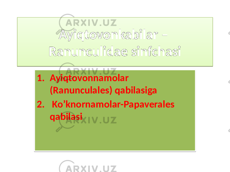 Ayiqtovonkabilar – Ranunculidae sinfchasi 1. Ayiqtovonnamolar (Ranunculales) qabilasiga 2. Ko’knornamolar-Papaverales qabilasi2C 2D 1B21 2C 13 1C21 04 3C 1D 