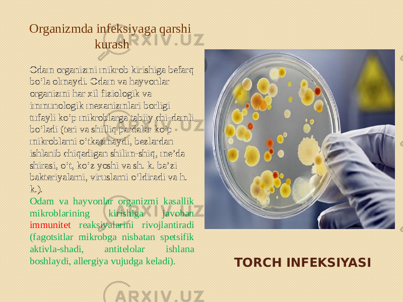 TORCH INFEKSIYASIOrganizmda infeksiyaga qarshi kurash Odam organizmi mikrob kirishiga befarq boʻla olmaydi. Odam va hayvonlar organizmi har xil fiziologik va immunologik mexanizmlari borligi tufayli koʻp mikroblarga tabiiy chi-damli boʻladi (teri va shilliq pardalar koʻp mikroblarni oʻtkazmaydi, bezlardan ishlanib chiqadigan shilim-shiq, meʼda shirasi, oʻt, koʻz yoshi va sh. k. baʼzi bakteriyalarni, viruslarni oʻldiradi va h. k.). Odam va hayvonlar organizmi kasallik mikroblarining kirishiga javoban immunitet reaksiyalarini rivojlantiradi (fagotsitlar mikrobga nisbatan spetsifik aktivla-shadi, antitelolar ishlana boshlaydi, allergiya vujudga keladi). 