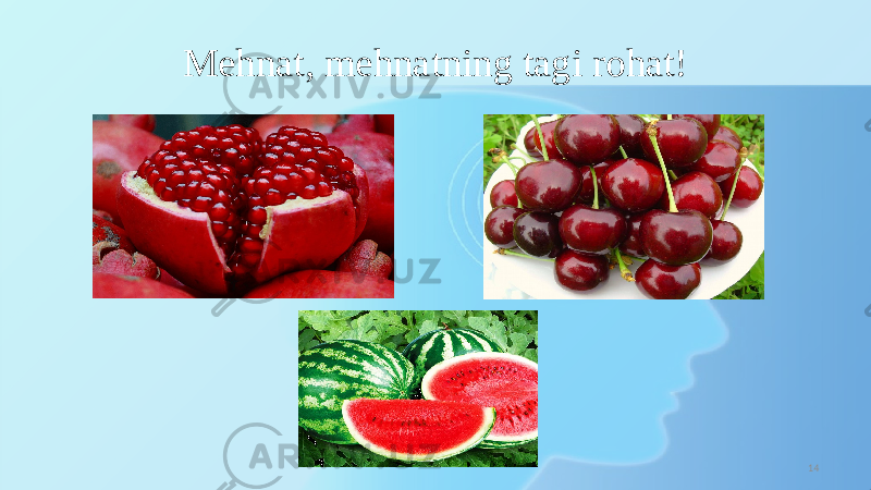 Mehnat, mehnatning tagi rohat! 14 