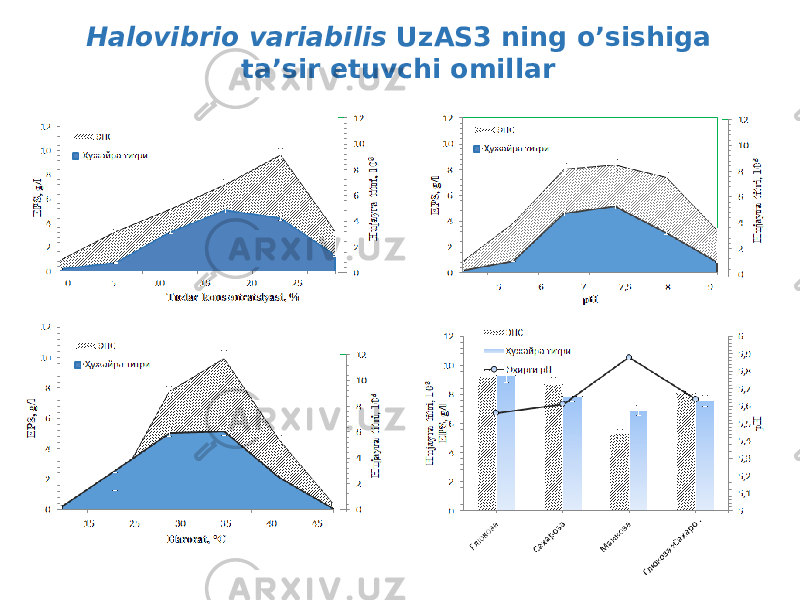 Halovibrio variabilis UzAS3 ning oʼsishiga ta’sir etuvchi omillar 