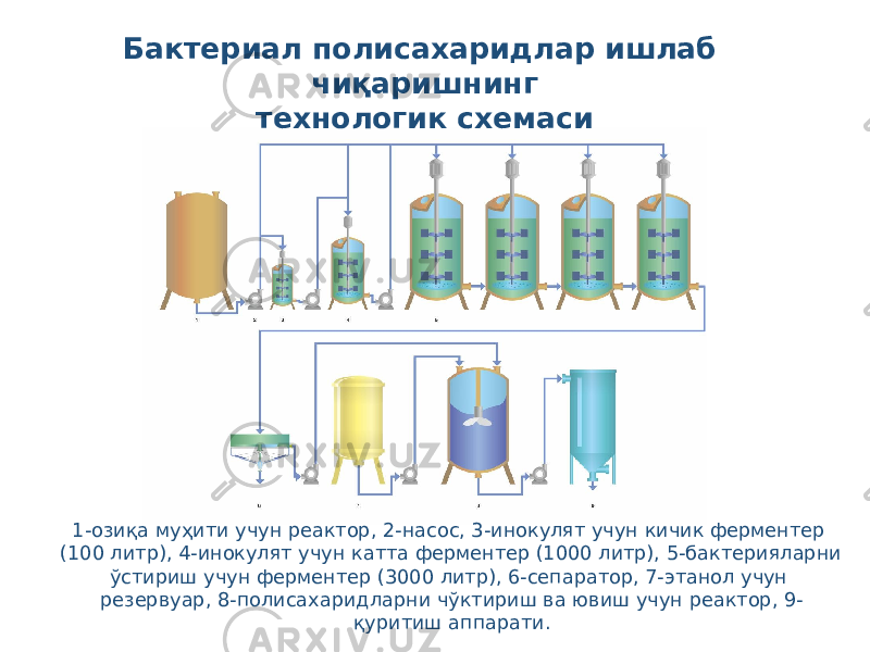 Бактериал полисахаридлар ишлаб чиқаришнинг технологик схемаси 1-озиқа муҳити учун реактор, 2-насос, 3-инокулят учун кичик ферментер (100 литр), 4-инокулят учун катта ферментер (1000 литр), 5-бактерияларни ўстириш учун ферментер (3000 литр), 6-сепаратор, 7-этанол учун резервуар, 8-полисахаридларни чўктириш ва ювиш учун реактор, 9- қуритиш аппарати. 
