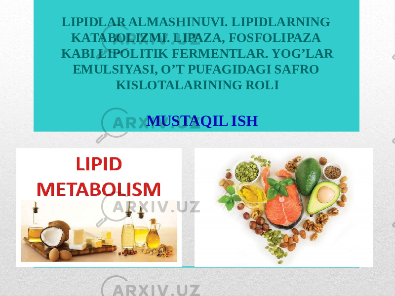 MUSTAQIL ISH  LIPIDLAR ALMASHINUVI. LIPIDLARNING KATABOLIZMI. LIPAZA, FOSFOLIPAZA KABI LIPOLITIK FERMENTLAR. YOG’LAR EMULSIYASI, O’T PUFAGIDAGI SAFRO KISLOTALARINING ROLI 