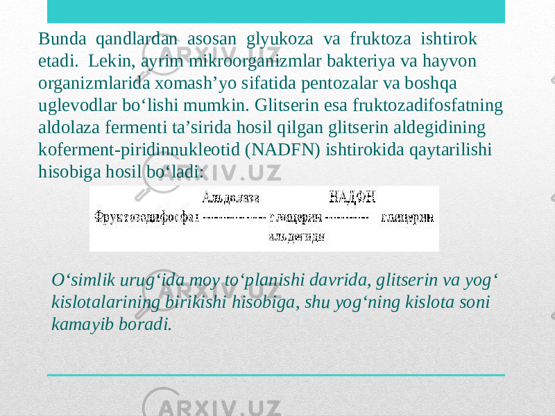 Bunda qandlardan asosan glyukoza va fruktoza ishtirok etadi. Lekin, ayrim mikroorganizmlar bakteriya va hayvon organizmlarida xomash’yo sifatida pentozalar va boshqa uglevodlar bo‘lishi mumkin. Glitserin esa fruktozadifosfatning aldolaza fermenti ta’sirida hosil qilgan glitserin aldegidining koferment-piridinnukleotid (NADFN) ishtirokida qaytarilishi hisobiga hosil bo‘ladi: O‘simlik urug‘ida moy to‘planishi davrida, glitserin va yog‘ kislotalarining birikishi hisobiga, shu yog‘ning kislota soni kamayib boradi. 