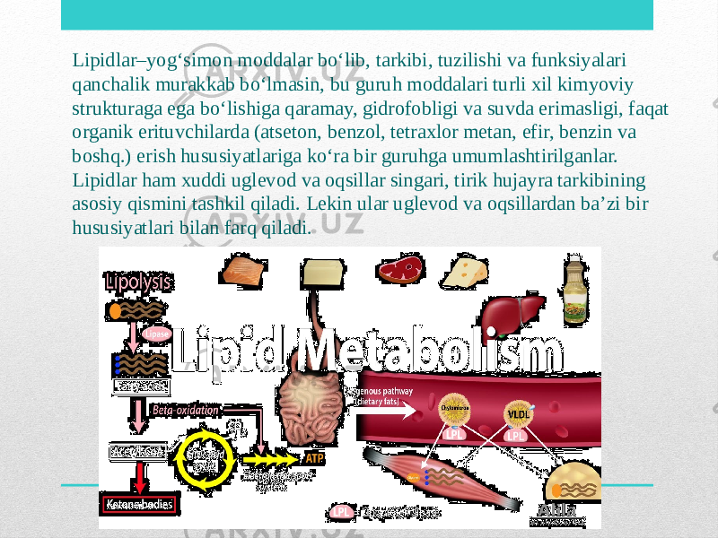 Lipidlar–yog‘simon moddalar bo‘lib, tarkibi, tuzilishi va funksiyalari qanchalik murakkab bo‘lmasin, bu guruh moddalari turli xil kimyoviy strukturaga ega bo‘lishiga qaramay, gidrofobligi va suvda erimasligi, faqat organik erituvchilarda (atseton, benzol, tetraxlor metan, efir, benzin va boshq.) erish hususiyatlariga ko‘ra bir guruhga umumlashtirilganlar. Lipidlar ham xuddi uglevod va oqsillar singari, tirik hujayra tarkibining asosiy qismini tashkil qiladi. Lekin ular uglevod va oqsillardan ba’zi bir hususiyatlari bilan farq qiladi. 