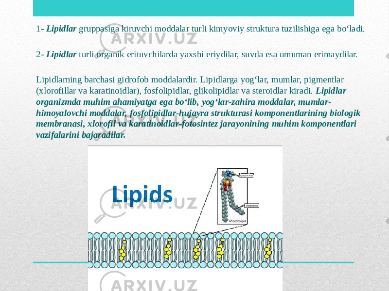 1- Lipidlar gruppasiga kiruvchi moddalar turli kimyoviy struktura tuzilishiga ega bo‘ladi. 2- Lipidlar turli organik erituvchilarda yaxshi eriydilar, suvda esa umuman erimaydilar.   Lipidlarning barchasi gidrofob moddalardir. Lipidlarga yog‘lar, mumlar, pigmentlar (xlorofillar va karatinoidlar), fosfolipidlar, glikolipidlar va steroidlar kiradi. Lipidlar organizmda muhim ahamiyatga ega bo‘lib, yog‘lar-zahira moddalar, mumlar- himoyalovchi moddalar, fosfolipidlar-hujayra strukturasi komponentlarining biologik membranasi, xlorofil va karatinoidlar-fotosintez jarayonining muhim komponentlari vazifalarini bajaradilar. 