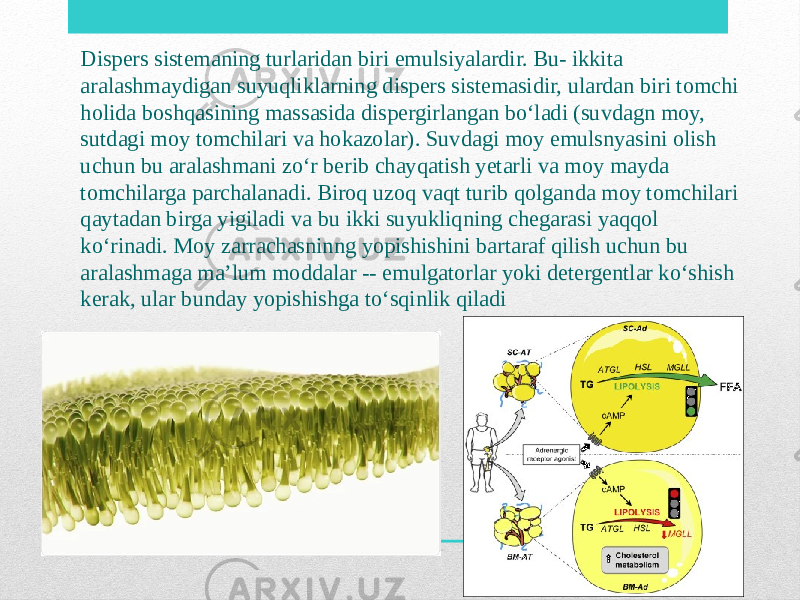 Dispers sistemaning turlaridan biri emulsiyalardir. Bu- ikkita aralashmaydigan suyuqliklarning dispers sistemasidir, ulardan biri tomchi holida boshqasining massasida dispergirlangan boʻladi (suvdagn moy, sutdagi moy tomchilari va hokazolar). Suvdagi moy emulsnyasini olish uchun bu aralashmani zoʻr berib chayqatish yetarli va moy mayda tomchilarga parchalanadi. Biroq uzoq vaqt turib qolganda moy tomchilari qaytadan birga yigiladi va bu ikki suyukliqning chegarasi yaqqol koʻrinadi. Moy zarrachasninng yopishishini bartaraf qilish uchun bu aralashmaga ma’lum moddalar -- emulgatorlar yoki detergentlar koʻshish kerak, ular bunday yopishishga toʻsqinlik qiladi 