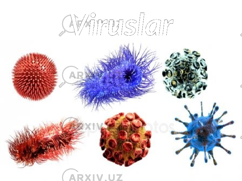 Viruslar 