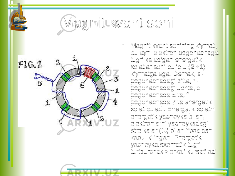 Magnit kvant soni • Magnit kvant sonining kiymati, bu ayni elektron pogonachaga tugri keladigan energetik xolatlar soni bulib u (2l+1) kiymatga ega. Demak, s- pogonachadagi bitta, r- pogonachadagi uchta, d pogonachada 5 ta, f- pogonachada 7 ta energetik xolat buladi. Energetik xolatni energetik yacheyka bilan, elektronlarni yacheykadagi strelkalar (  ) bilan ifodalash kabul kilingan. Energetik yacheyka sxematik tugri turtburchak  orkali kursatiladi 