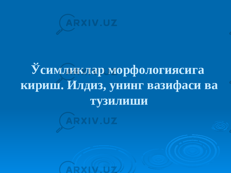 Ўсимликлар морфологиясига кириш. Илдиз, унинг вазифаси ва тузилиши 