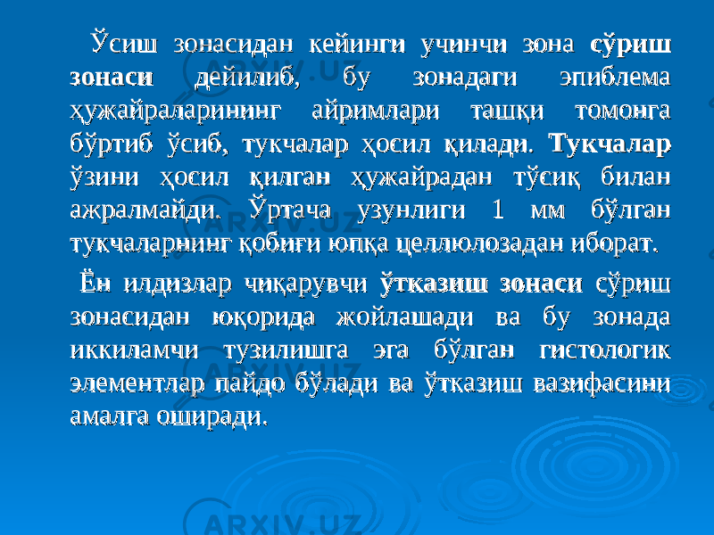  Ўсиш зонасидан кейинги учинчи зона Ўсиш зонасидан кейинги учинчи зона сўриш сўриш зонаси зонаси дейилиб, бу зонадаги эпиблема дейилиб, бу зонадаги эпиблема ҳужайраларининг айримлари ташқи томонга ҳужайраларининг айримлари ташқи томонга бўртиб ўсиб, тукчалар ҳосил қилади. бўртиб ўсиб, тукчалар ҳосил қилади. ТукчаларТукчалар ўзини ҳосил қилган ҳужайрадан тўсиқ билан ўзини ҳосил қилган ҳужайрадан тўсиқ билан ажралмайди. Ўртача узунлиги 1 мм бўлган ажралмайди. Ўртача узунлиги 1 мм бўлган тукчаларнинг қобиғи юпқа целлюлозадан ибораттукчаларнинг қобиғи юпқа целлюлозадан иборат .. Ён илдизлар чиқарувчи Ён илдизлар чиқарувчи ўтказиш зонасиўтказиш зонаси сўриш сўриш зонасидан юқорида жойлашади ва бу зонада зонасидан юқорида жойлашади ва бу зонада иккиламчи тузилишга эга бўлган гистологик иккиламчи тузилишга эга бўлган гистологик элементлар пайдо бўлади ва ўтказиш вазифасини элементлар пайдо бўлади ва ўтказиш вазифасини амалга оширади. амалга оширади. 