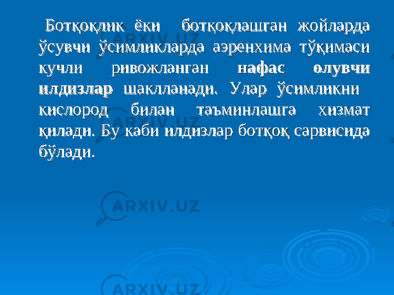  Ботқоқлик ёки ботқоқлашган жойларда Ботқоқлик ёки ботқоқлашган жойларда ўсувчи ўсимликларда аэренхима тўқимаси ўсувчи ўсимликларда аэренхима тўқимаси кучли ривожланган кучли ривожланган нафас олувчи нафас олувчи илдизлар илдизлар шаклланади. Улар ўсимликни шаклланади. Улар ўсимликни кислород билан таъминлашга хизмат кислород билан таъминлашга хизмат қилади. Бу каби илдизлар ботқоқ сарвисида қилади. Бу каби илдизлар ботқоқ сарвисида бўлади.бўлади. 