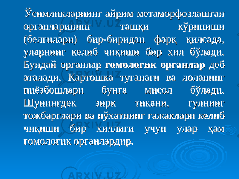  Ўсимликларнинг айрим метаморфозлашган Ўсимликларнинг айрим метаморфозлашган органларининг ташқи кўриниши органларининг ташқи кўриниши (белгилари) бир-биридан фарқ қилсада, (белгилари) бир-биридан фарқ қилсада, уларнинг келиб чиқиши бир хил бўлади. уларнинг келиб чиқиши бир хил бўлади. Бундай органлар Бундай органлар гомологик органларгомологик органлар деб деб аталади. Картошка туганаги ва лоланинг аталади. Картошка туганаги ва лоланинг пиёзбошлари бунга мисол бўлади. пиёзбошлари бунга мисол бўлади. Шунингдек зирк тикани, гулнинг Шунингдек зирк тикани, гулнинг тожбарглари ва нўхатнинг гажаклари келиб тожбарглари ва нўхатнинг гажаклари келиб чиқиши бир хиллиги учун улар ҳам чиқиши бир хиллиги учун улар ҳам гомологик органлардир.гомологик органлардир. 