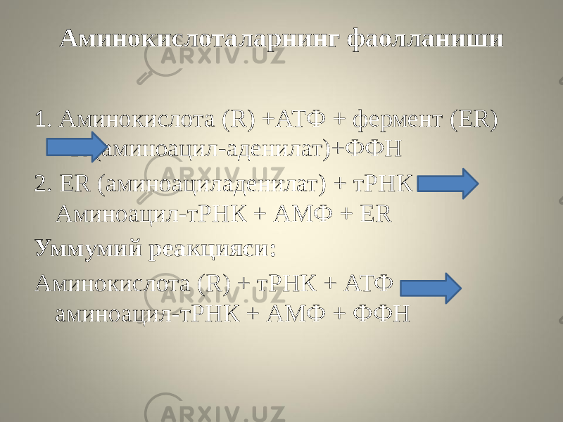 Аминокислоталарнинг фаолланиши 1. Аминокислота (R) +АТФ + фермент (ER) ER (аминоацил-аденилат)+ФФН 2. ER (аминоациладенилат) + тРНК Аминоацил-тРНК + АМФ + ER Уммумий реакцияси: Аминокислота (R) + тРНК + АТФ аминоацил-тРНК + АМФ + ФФН 