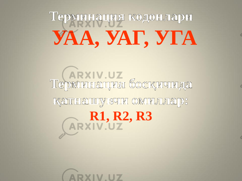 Терминация кодонлари УАА, УАГ, УГА Терминация босқичида қатнашувчи омиллар: R1, R2, R3 