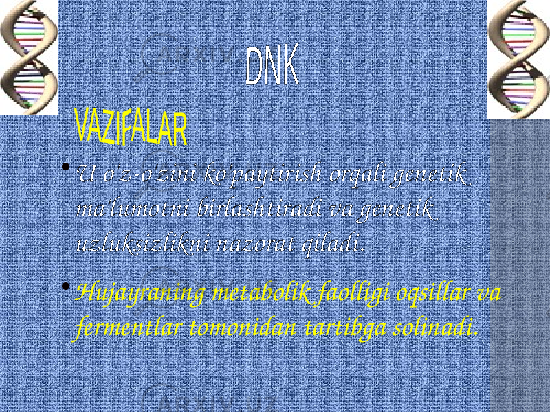 • U o&#39;z-o&#39;zini ko&#39;paytirish orqali genetik ma&#39;lumotni birlashtiradi va genetik uzluksizlikni nazorat qiladi. • Hujayraning metabolik faolligi oqsillar va fermentlar tomonidan tartibga solinadi. 