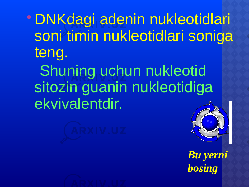  DNKdagi adenin nukleotidlari soni timin nukleotidlari soniga teng. Shuning uchun nukleotid sitozin guanin nukleotidiga ekvivalentdir. Bu yerni bosing 