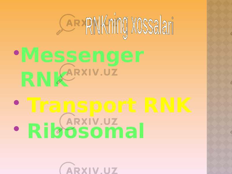  Messenger RNK  Transport RNK  Ribosomal 