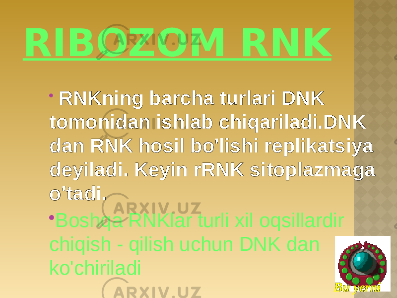 RIBOZOM RNK  RNKning barcha turlari DNK tomonidan ishlab chiqariladi.DNK dan RNK hosil bo&#39;lishi replikatsiya deyiladi. Keyin rRNK sitoplazmaga o&#39;tadi.  Boshqa RNKlar turli xil oqsillardir chiqish - qilish uchun DNK dan ko&#39;chiriladi Bu yerni bosing 