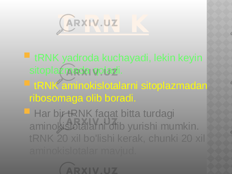 T RN K  tRNK yadroda kuchayadi, lekin keyin sitoplazmada qoladi.  tRNK aminokislotalarni sitoplazmadan ribosomaga olib boradi.  Har bir tRNK faqat bitta turdagi aminokislotalarni olib yurishi mumkin. tRNK 20 xil bo&#39;lishi kerak, chunki 20 xil aminokislotalar mavjud. 