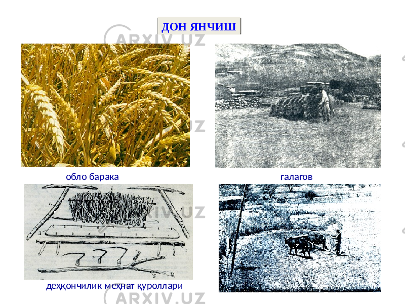 ДОН ЯНЧИШ обло барака галагов деҳқончилик меҳнат қуроллари 