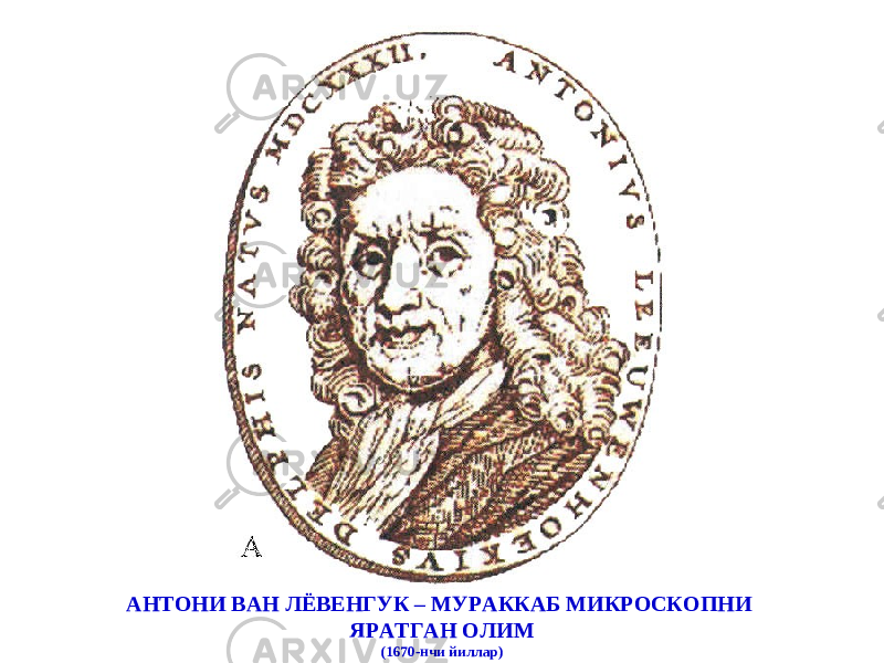 АНТОНИ ВАН ЛЁВЕНГ УК – МУРАККАБ МИКРОСКОП НИ ЯРАТГАН ОЛИМ (1670 - нчи йиллар) 