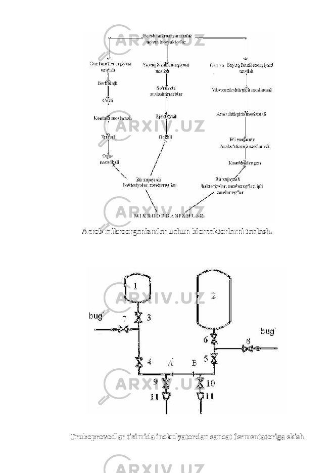 Aerob mikroorganizmlar uchun bior е aktorlarni   tanlash.         Truboprovodlar tizimida inokulyatordan sanoat f е rm е ntatoriga ekish 