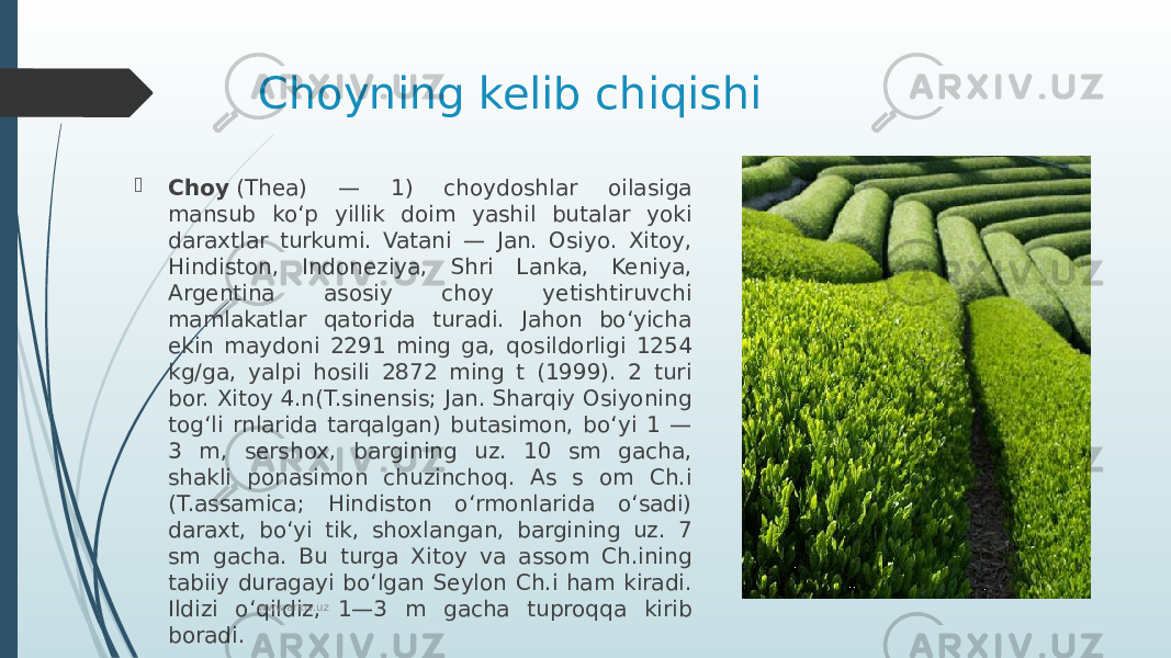 Choyning kelib chiqishi  Choy  (Thea) — 1) choydoshlar oilasiga mansub koʻp yillik doim yashil butalar yoki daraxtlar turkumi. Vatani — Jan. Osiyo. Xitoy, Hindiston, Indoneziya, Shri Lanka, Keniya, Argentina asosiy choy yetishtiruvchi mamlakatlar qatorida turadi. Jahon boʻyicha ekin maydoni 2291 ming ga, qosildorligi 1254 kg/ga, yalpi hosili 2872 ming t (1999). 2 turi bor. Xitoy 4.n(T.sinensis; Jan. Sharqiy Osiyoning togʻli rnlarida tarqalgan) butasimon, boʻyi 1 — 3 m, sershox, bargining uz. 10 sm gacha, shakli ponasimon chuzinchoq. As s om Ch.i (T.assamica; Hindiston oʻrmonlarida oʻsadi) daraxt, boʻyi tik, shoxlangan, bargining uz. 7 sm gacha. Bu turga Xitoy va assom Ch.ining tabiiy duragayi boʻlgan Seylon Ch.i ham kiradi. Ildizi oʻqildiz, 1—3 m gacha tuproqqa kirib boradi. www.arxiv.uz 