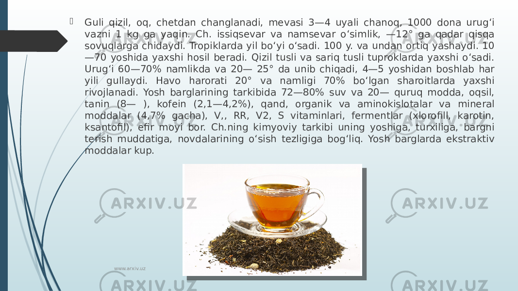  Guli qizil, oq, chetdan changlanadi, mevasi 3—4 uyali chanoq, 1000 dona urugʻi vazni 1 kg ga yaqin. Ch. issiqsevar va namsevar oʻsimlik, —12° ga qadar qisqa sovuqlarga chidaydi. Tropiklarda yil boʻyi oʻsadi. 100 y. va undan ortiq yashaydi. 10 —70 yoshida yaxshi hosil beradi. Qizil tusli va sariq tusli tuproklarda yaxshi oʻsadi. Urugʻi 60—70% namlikda va 20— 25° da unib chiqadi, 4—5 yoshidan boshlab har yili gullaydi. Havo harorati 20° va namligi 70% boʻlgan sharoitlarda yaxshi rivojlanadi. Yosh barglarining tarkibida 72—80% suv va 20— quruq modda, oqsil, tanin (8— ), kofein (2,1—4,2%), qand, organik va aminokislotalar va mineral moddalar (4,7% gacha), V,, RR, V2, S vitaminlari, fermentlar (xlorofill, karotin, ksantofil), efir moyi bor. Ch.ning kimyoviy tarkibi uning yoshiga, turxiliga, bargni terish muddatiga, novdalarining oʻsish tezligiga bogʻliq. Yosh barglarda ekstraktiv moddalar kup. www.arxiv.uz 