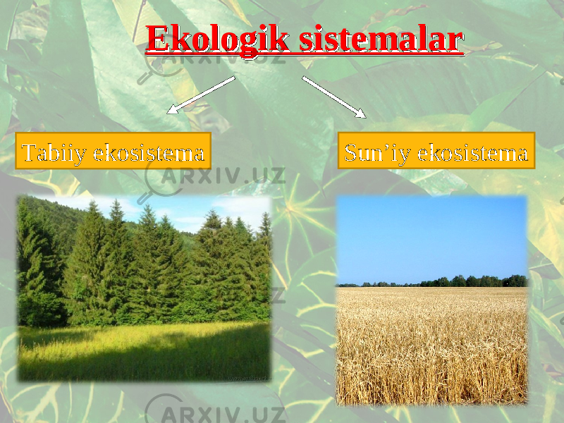 Ekologik sistemalarEkologik sistemalar Tabiiy ekosistema Sun’iy ekosistema 